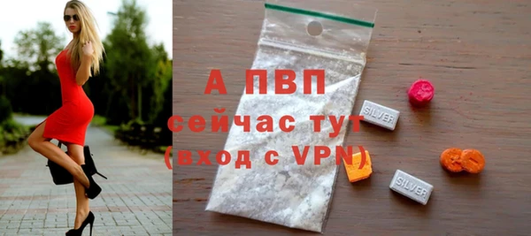 spice Белокуриха